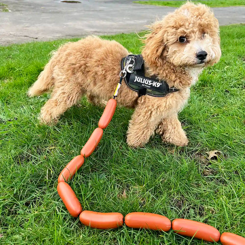 Big Dog Chain Leash, Iron Chains, 75" Long, 1pc (Coppery)